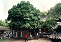 廣州到漢中物流專線，廣州到漢中貨運公司