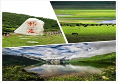 廣州到阿壩物流專線，專業(yè)運(yùn)輸廣州至阿壩貨運(yùn)公司