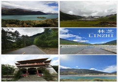 廣州到林芝物流專線，整車零擔(dān)配貨的廣州到林芝貨運(yùn)