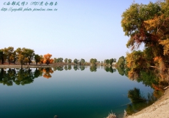 廣州到阿克蘇物流專線，廣州到新疆阿克蘇貨運公司