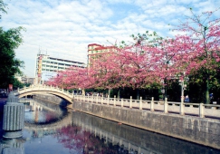 廣州到遂溪物流專(zhuān)線(xiàn)，廣州到遂溪貨運(yùn)公司