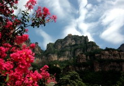 廣州到安陽物流專線，廣州到安陽貨運公司