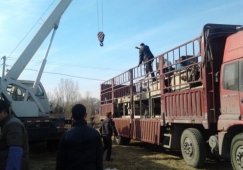 廣州增城到永州物流公司-增城區(qū)到永州貨運(yùn)專線